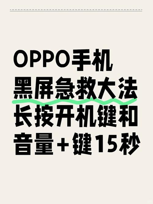 oppoa209开机键在哪里？oppoa92s开不开机了？-第7张图片-优品飞百科