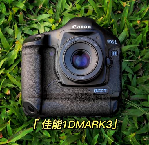佳能1ds网友点评，佳能1ds网友点评图片？-第5张图片-优品飞百科