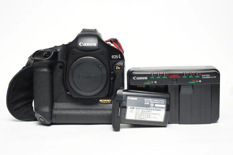 佳能1ds网友点评，佳能1ds网友点评图片？-第6张图片-优品飞百科