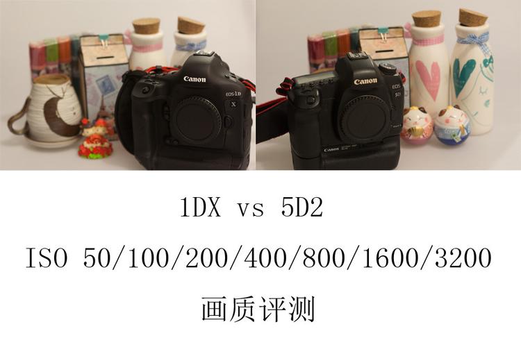 佳能1ds网友点评，佳能1ds网友点评图片？-第8张图片-优品飞百科