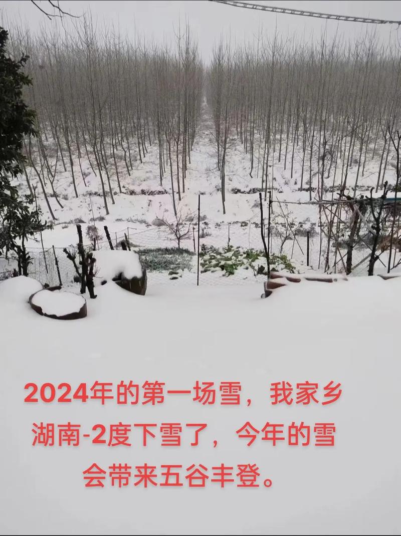 大兴安岭天气预报，大兴安岭天气预报7天-第5张图片-优品飞百科