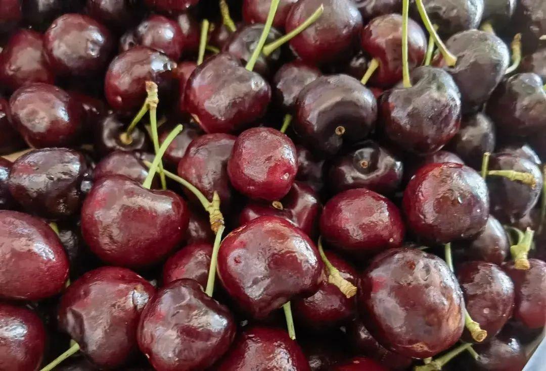 疫情期间樱桃，疫情期间樱桃可以卖吗？-第4张图片-优品飞百科