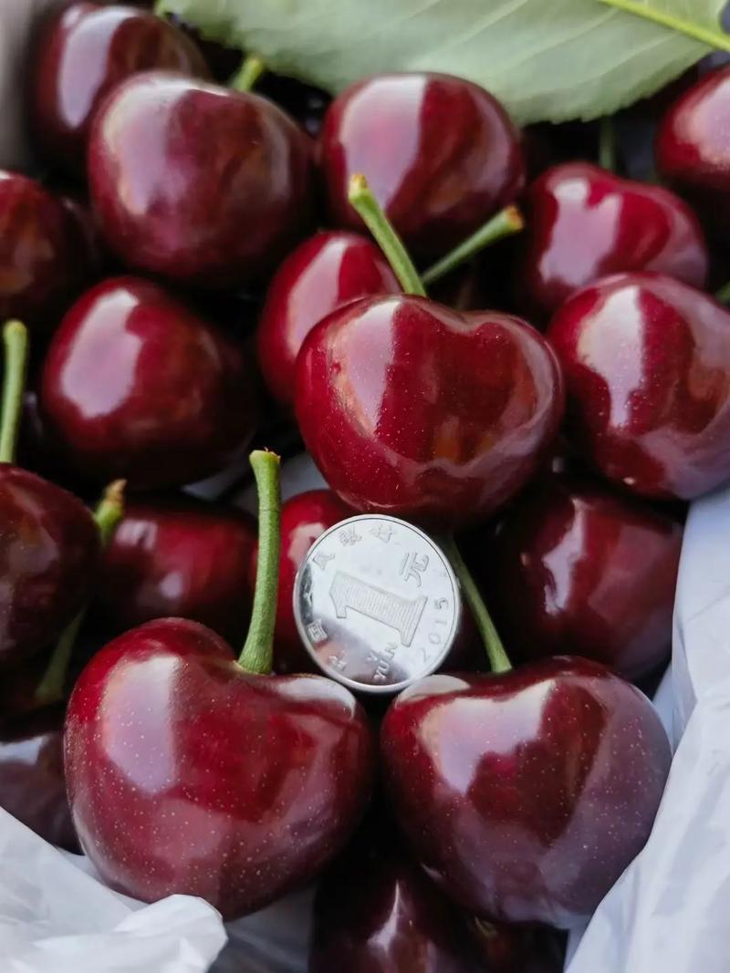疫情期间樱桃，疫情期间樱桃可以卖吗？-第6张图片-优品飞百科