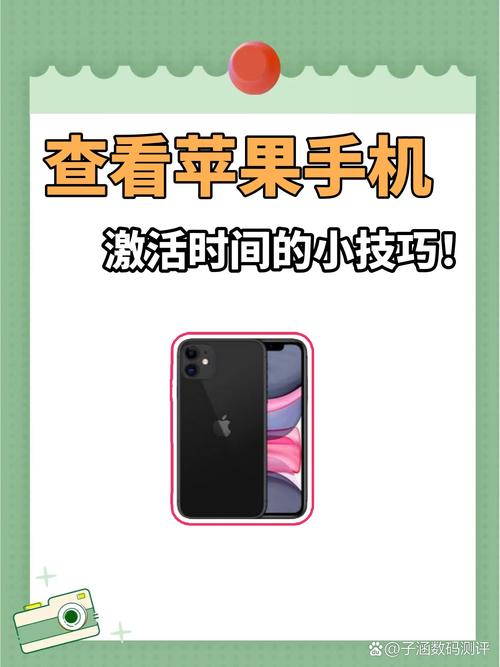 iphone怎么查询序列号是否激活？iphone怎么查询序列号是否激活过？-第4张图片-优品飞百科