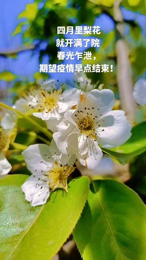 疫情过后如约，疫情过后我们应该注意些什么？-第4张图片-优品飞百科