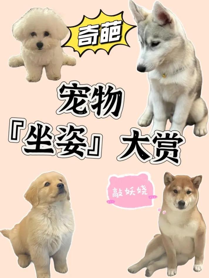 疫情下的奇葩？疫情期间感到最奇怪的事情？-第5张图片-优品飞百科