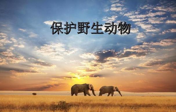 疫情后环境变好，疫情后的自然环境变化？-第5张图片-优品飞百科