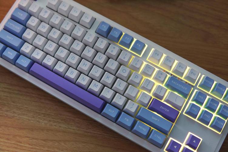 雷蛇和rog键盘哪个好，雷蛇键盘对比？-第6张图片-优品飞百科