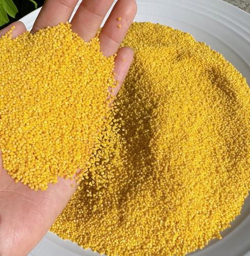 什么叫小米？什么叫小米珠？-第3张图片-优品飞百科