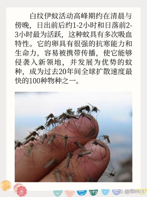 曼谷登革热疫情，曼谷病情-第2张图片-优品飞百科