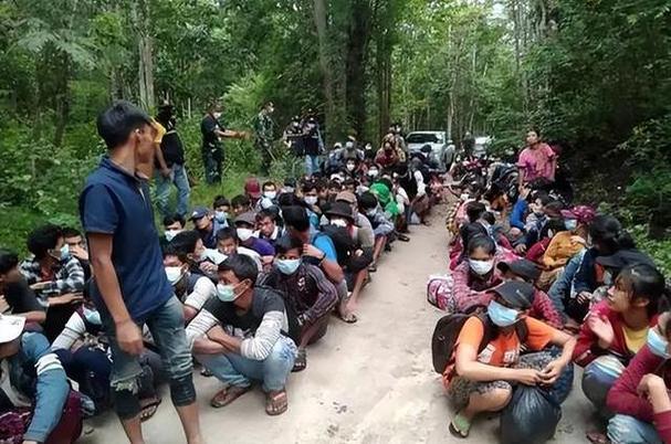 曼谷登革热疫情，曼谷病情-第4张图片-优品飞百科