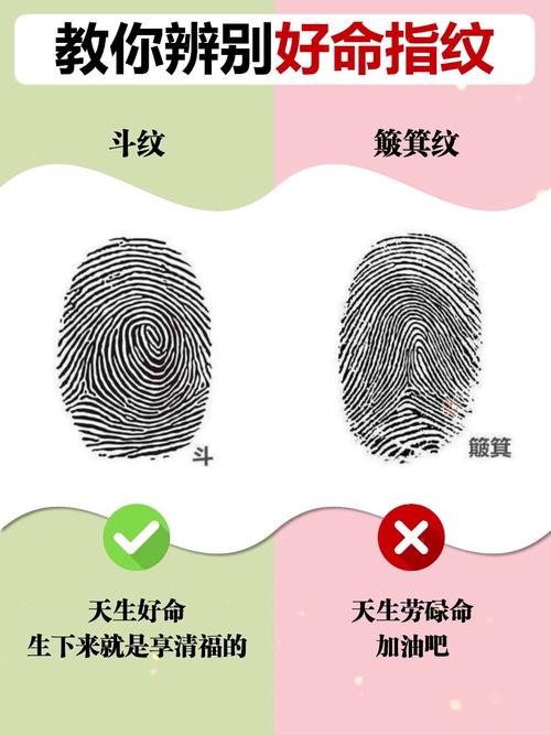 指纹是怎么识别的？指纹识别的方式？