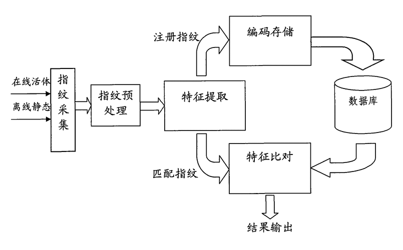 指纹是怎么识别的？指纹识别的方式？-第6张图片-优品飞百科