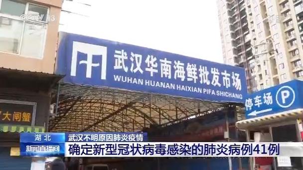 武汉疫情需？武汉疫情要持续多久？-第4张图片-优品飞百科