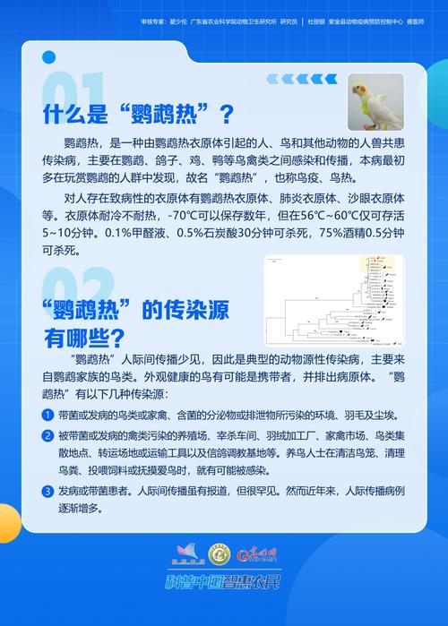 鸟儿疫情防，鸟有疫情吗？-第2张图片-优品飞百科