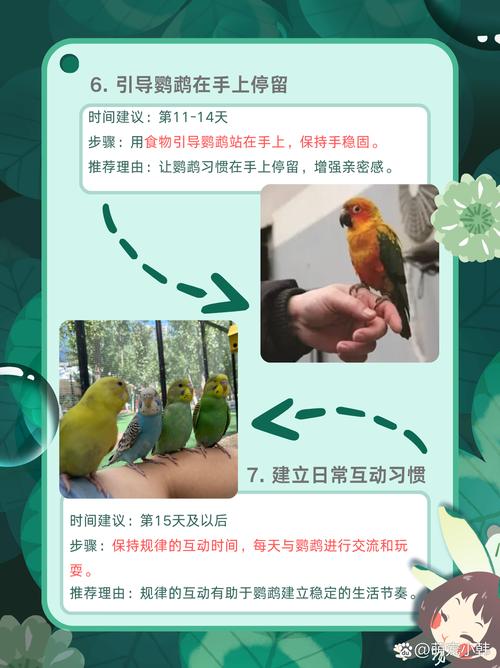 鸟儿疫情防，鸟有疫情吗？-第3张图片-优品飞百科