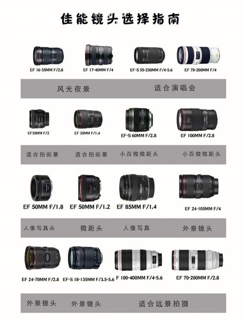 佳能1018镜头，佳能1018镜头适合拍什么-第5张图片-优品飞百科