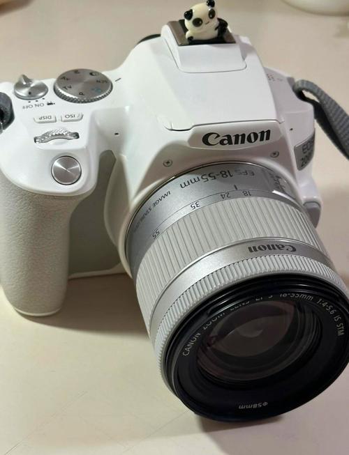 佳能850d与200d二代，佳能850d和佳能200d2买哪个好？-第5张图片-优品飞百科