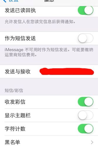 iphone彩信设置方法，苹果如何设置彩信-第4张图片-优品飞百科