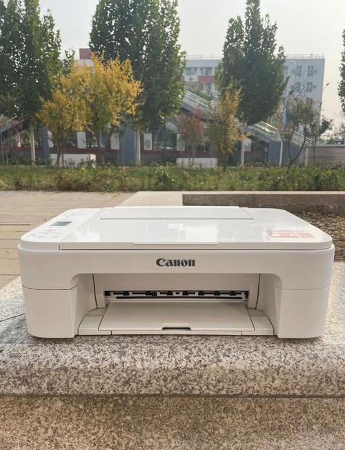 佳能ts3380打印机怎么复印东西，佳能ts 3380如何复印？-第3张图片-优品飞百科