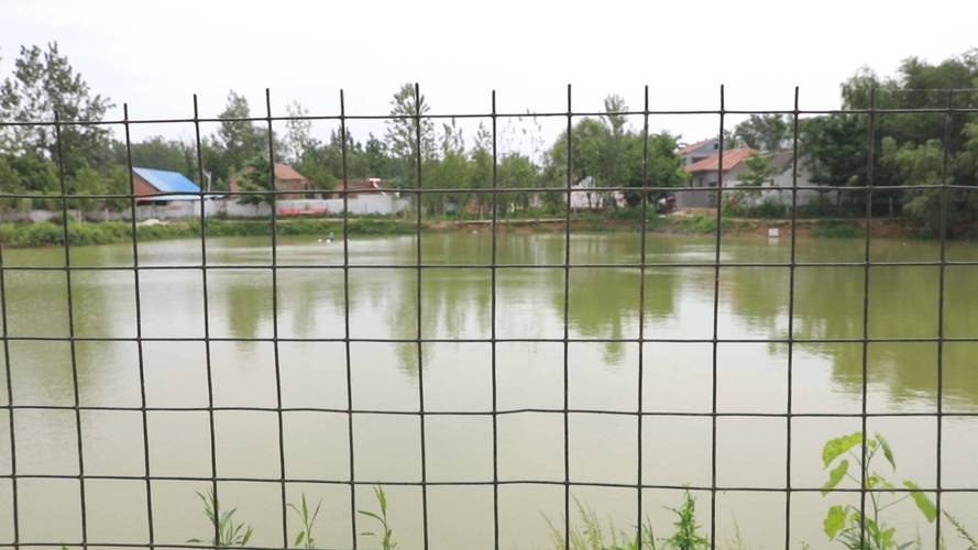 王楼村疫情？王楼村电话？-第5张图片-优品飞百科