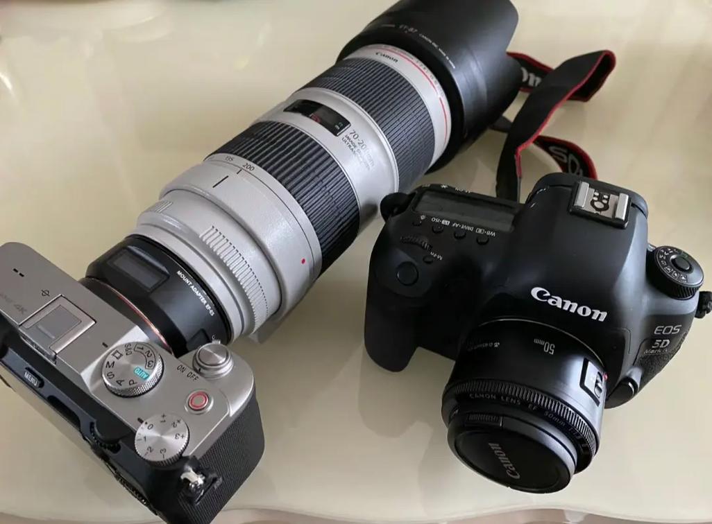 佳能r和5d4，佳能r和5d4哪个好？-第2张图片-优品飞百科