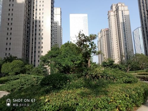 魅族e3玩吃鸡怎么样，魅族e3玩吃鸡怎么样值得买吗？-第6张图片-优品飞百科