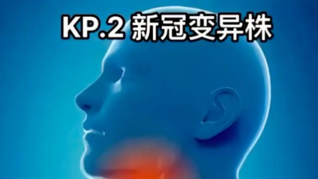 美国疫情飙升图？美国疫情日增图？-第2张图片-优品飞百科