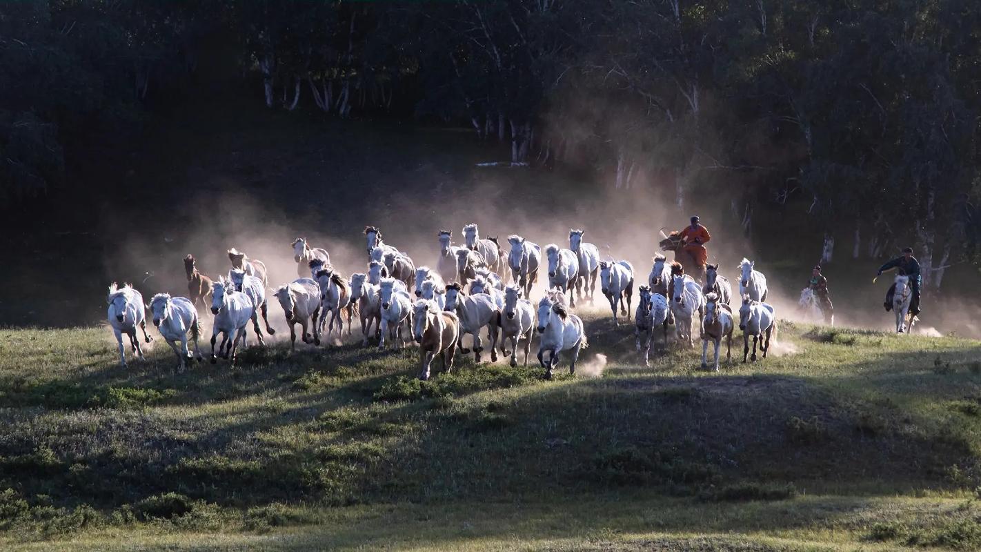 美国疫情飙升图？美国疫情日增图？-第4张图片-优品飞百科