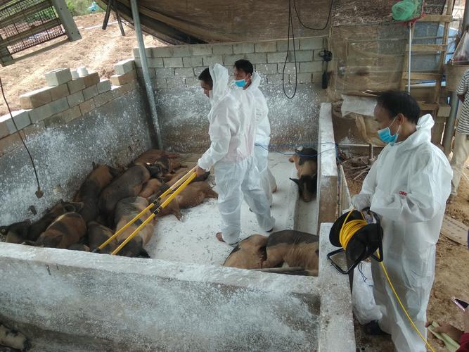 非洲疫情更新，非洲疫情实时动态？-第2张图片-优品飞百科