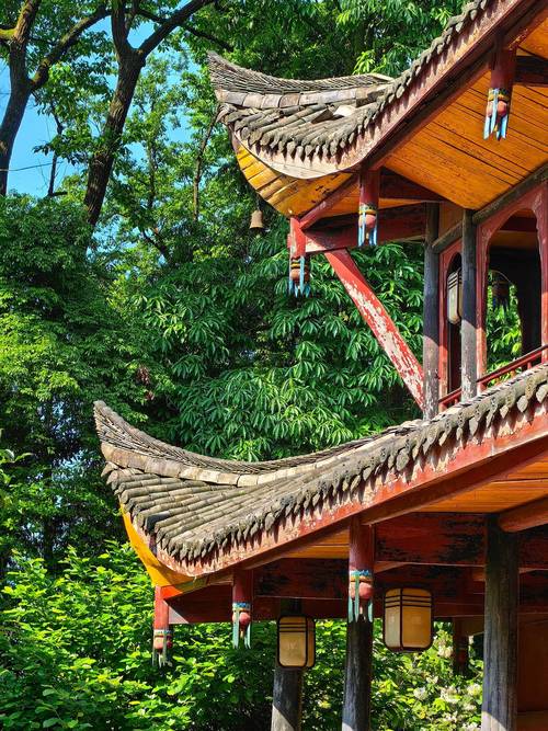 成都3月疫情？成都3月18日疫情最新消息？