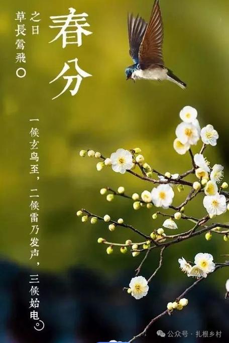 疫情春分结束，春节疫情结束-第3张图片-优品飞百科