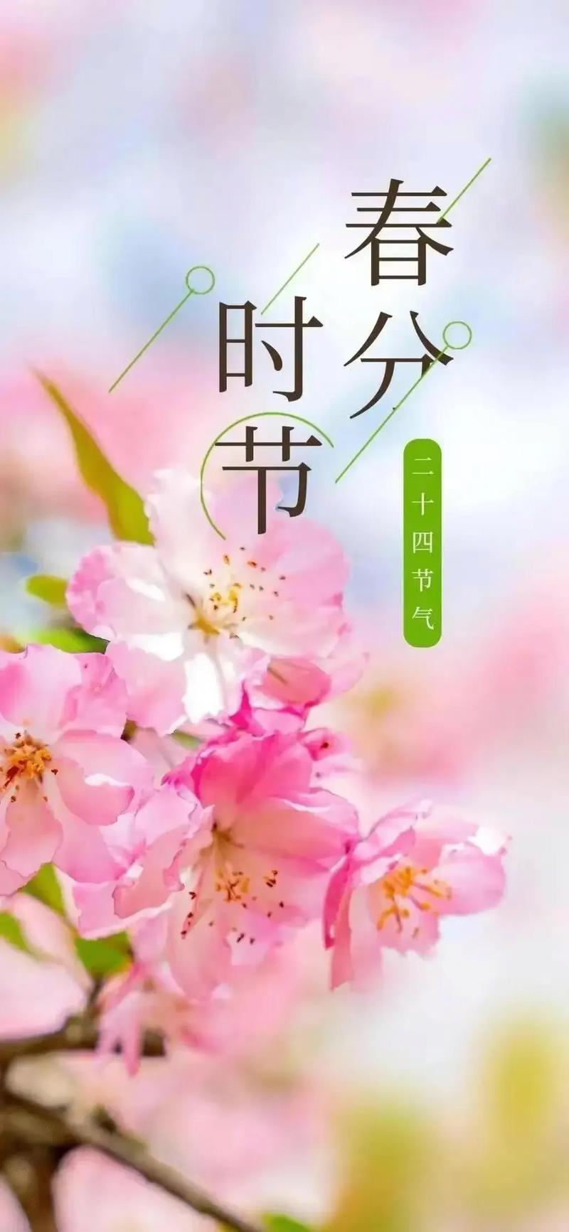 疫情春分结束，春节疫情结束-第5张图片-优品飞百科