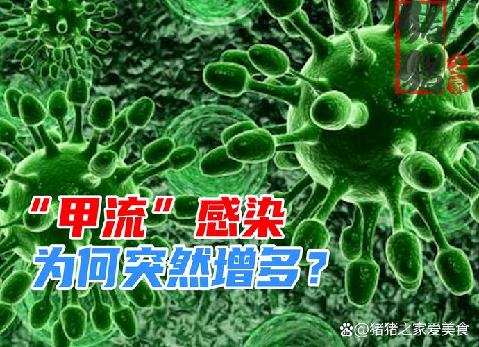 季节与疫情，疫情易发季节？