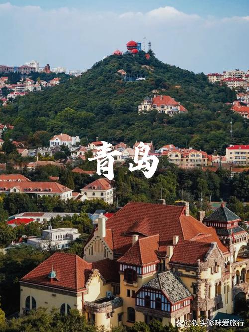 栈桥海鸥疫情？栈桥五一去还有海鸥吗？-第3张图片-优品飞百科