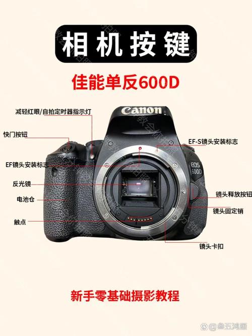 佳能600d对不了焦，佳能600d相机不对焦-第2张图片-优品飞百科