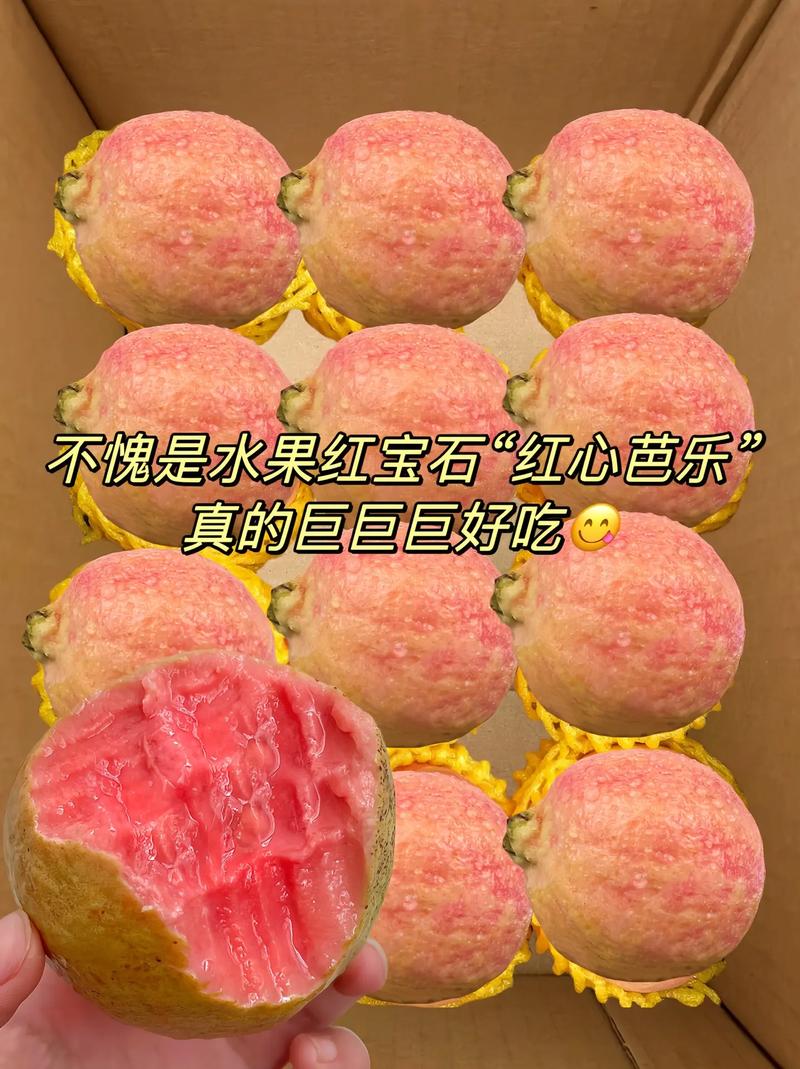 石榴含义疫情？石榴涵义？-第5张图片-优品飞百科