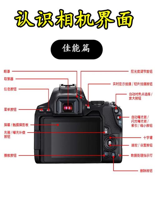 佳能550d原装镜头？佳能550d1855镜头？-第5张图片-优品飞百科