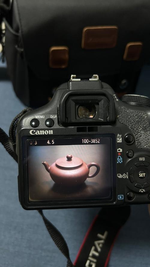 佳能500d官方标配，佳能500 d？-第6张图片-优品飞百科