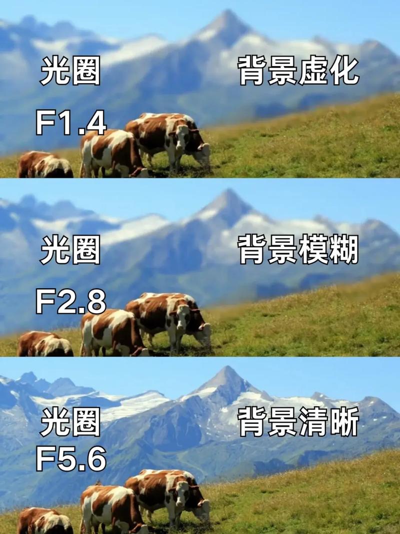 数码单反相机拍摄模式有哪几种，数码单反相机功能介绍-第3张图片-优品飞百科