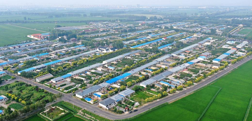 盘锦疫情吗？盘锦疫情通报？-第6张图片-优品飞百科