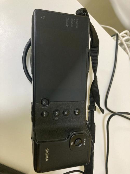 适马dp1q可以变焦吗？适马dp1m？-第3张图片-优品飞百科