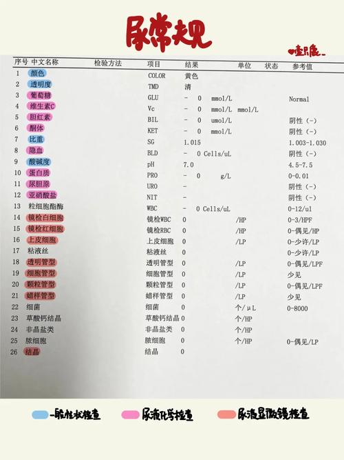医学hp是什么单位，在医学hp是什么意思-第3张图片-优品飞百科