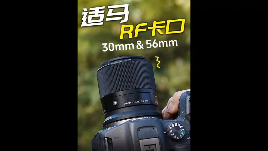 佳能ef广角定焦镜头，佳能定焦超广角镜头有哪些？-第4张图片-优品飞百科