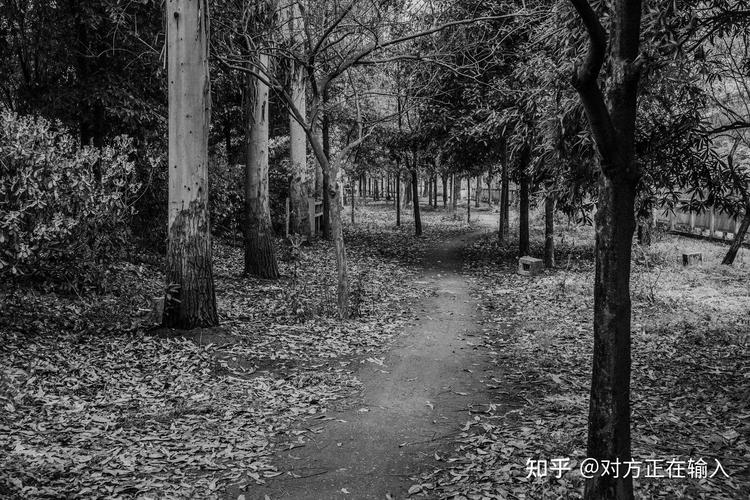 佳能600d传感器，佳能600d传感器清理多少钱？-第3张图片-优品飞百科