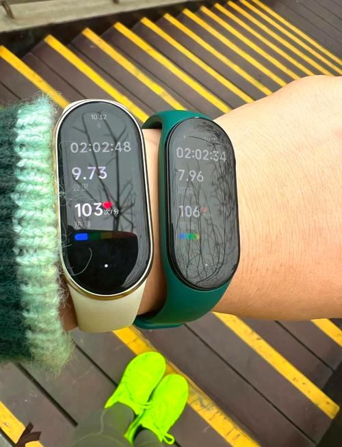 小米手环序列号查询，小米手环sn码查询？-第6张图片-优品飞百科