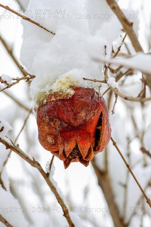 河南滑县天气预报？河南滑县天气预报一周？-第8张图片-优品飞百科
