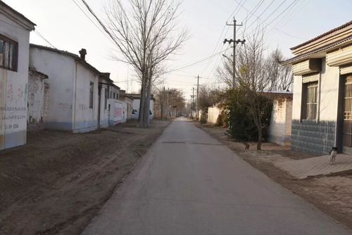 夏津疫情通知，夏津县最新疫情-第8张图片-优品飞百科