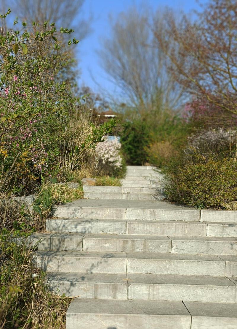 徐州天气预报十五天，徐州市天气预报十五天2345-第2张图片-优品飞百科