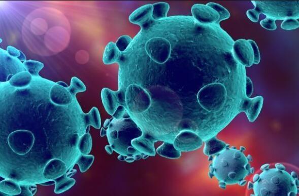 关于疫情再次失控的信息-第4张图片-优品飞百科